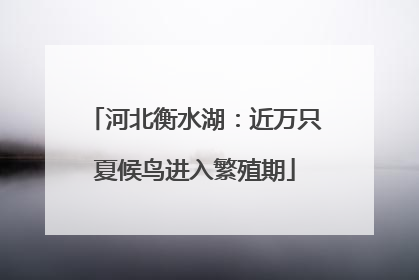 河北衡水湖：近万只夏候鸟进入繁殖期